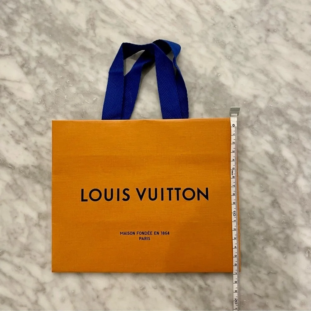 Louis Vuitton Small Gift Bag - Authentic